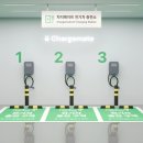 브릿지엘