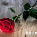 21세기 예배의 8가지 추세 이미지