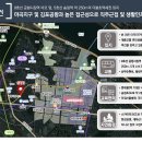 강서구-9 이미지