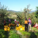 겸면농장 이미지