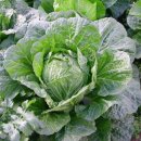 장은4리마을회관 이미지