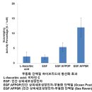 넥스젠 서울신문