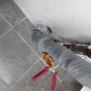 대성쎌틱 안양 대리점 이미지