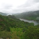 옥순봉 Daum카페