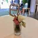 메리트리(meritree) 이미지