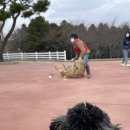 산새목장 이미지