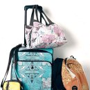 가족 해외여행 어떤 가방이 좋을까? 이미지