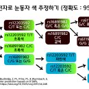 유전자로 눈동자 색 추정하기 이미지