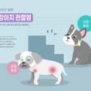 신호동물병원 이미지