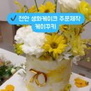 케이꾸키