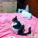 김동기농장 이미지