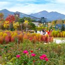 꽃 음악회 이미지