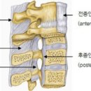 박천길한의원 이미지