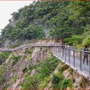 섬강목장 | 원주 소금산 출렁다리와 그랜드밸리에서의 하루