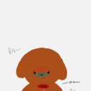 오아시스약국 이미지