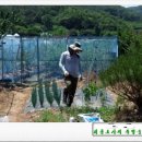 천양농장 이미지