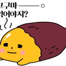 여성헬스&우먼-핏 이미지