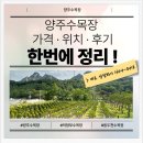 최선목장 | 양주 수 목장 가격 · 위치 · 후기 한 번에 정리