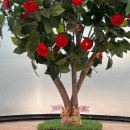 옥포현대서비스 이미지