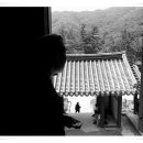 여심(女心) 이미지