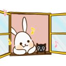 광안리피쉬 이미지