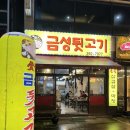 금성뒷고기