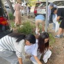 대전신계초교 이미지