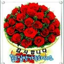 와스타디움 이미지