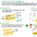 마스터케어 이미지