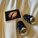 스테이.여름밤 | 해비치호텔,오는정김밥,숙성도,커피냅로스터즈,세러데이아일랜드,고집돌우럭,스테이여름밤,울산공항난기류