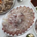 부산자갈치횟집 영도수산 활어회 포장 전어킹크랩대게