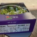 왕도매농산물