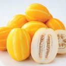 인천마이스터디