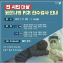 목포 코로나 창궐 이미지