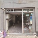 그린스타약국 네이버블로그