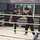 신쿤킥복싱