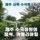 세화힐 | 제주 카멜리아힐 수국, 5월 6월 7월 개화 시기와 포토존 총정리