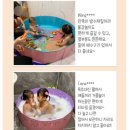 핀아 이미지