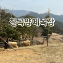 칠곡양떼목장 이미지