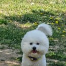 명촌근린공원 이미지