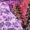 아이스뮤지엄 이미지