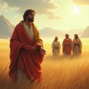 주성이네 옷 이미지