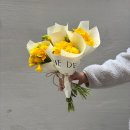 민하약국 | 4월 11일 ~ 4월 26일의 기록