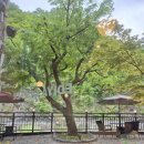 성동리커피집 이미지