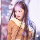 노마르 헤어 이미지
