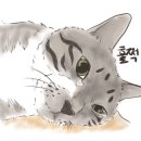 두 Y자(평일) 이미지