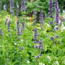 백록담한의원 이미지