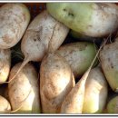 행복한 소꿉놀이 이미지