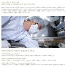 에이에스엠엘코리아