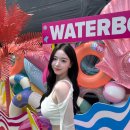ㅇㅎ 요즘 포텐 제대로 터졌다는 트리플에스 김채연 이미지